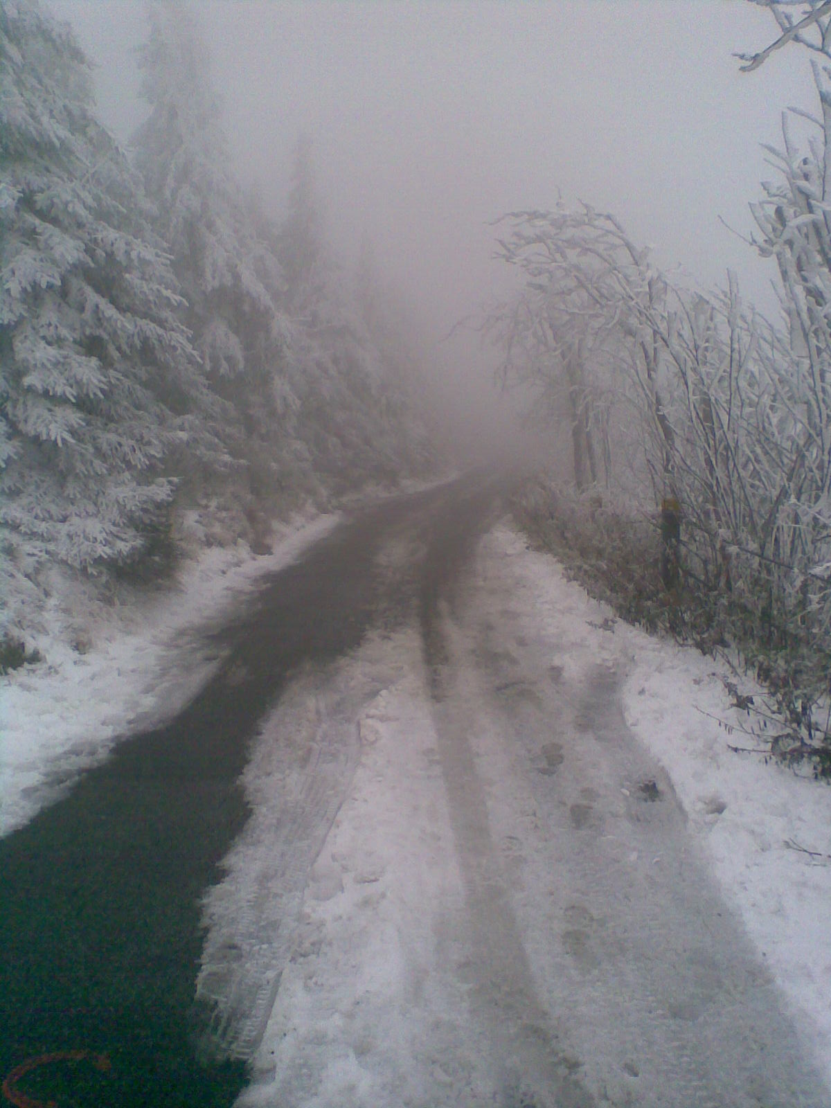 Obraz014.jpg