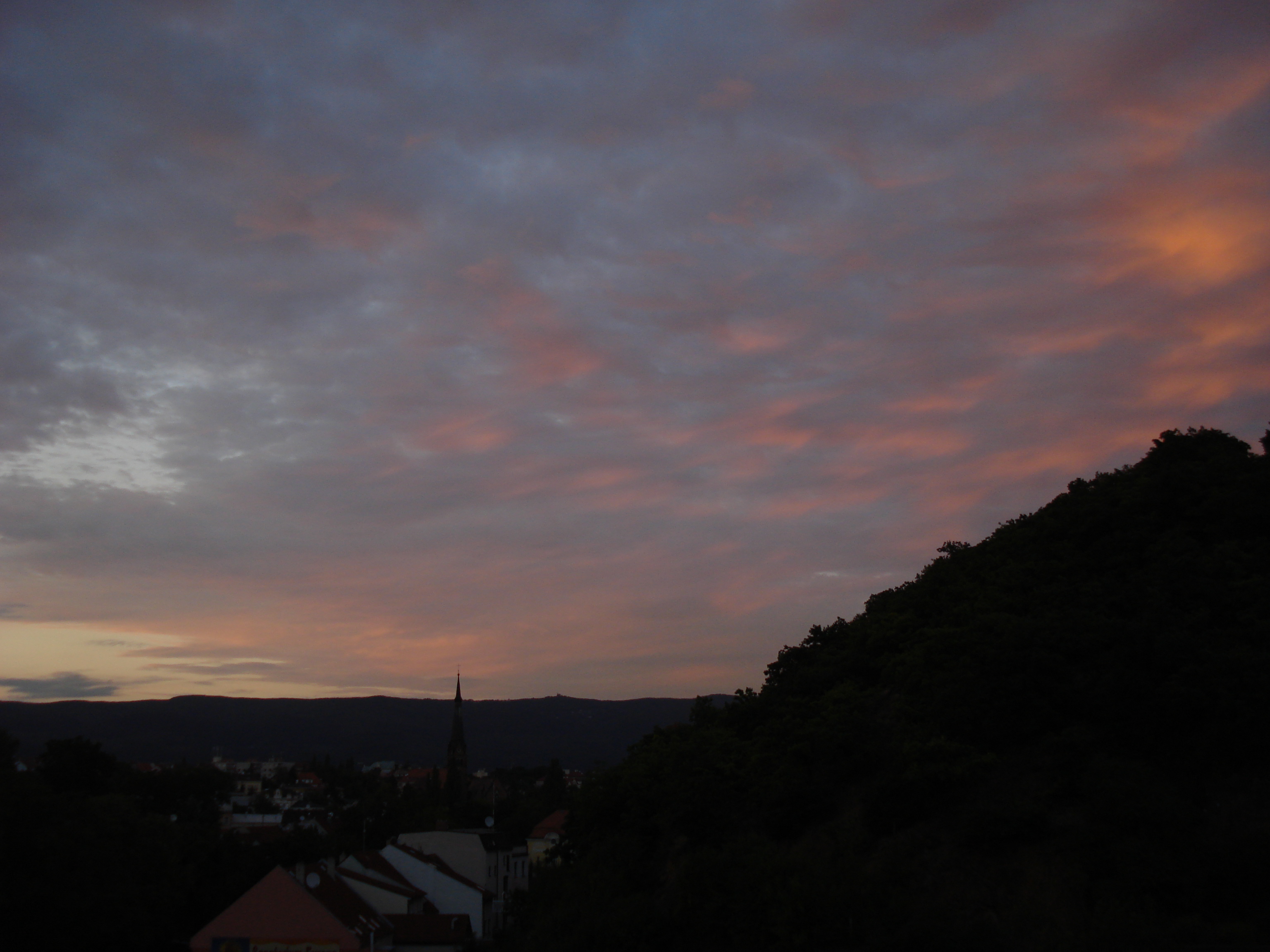 DSC01485.JPG