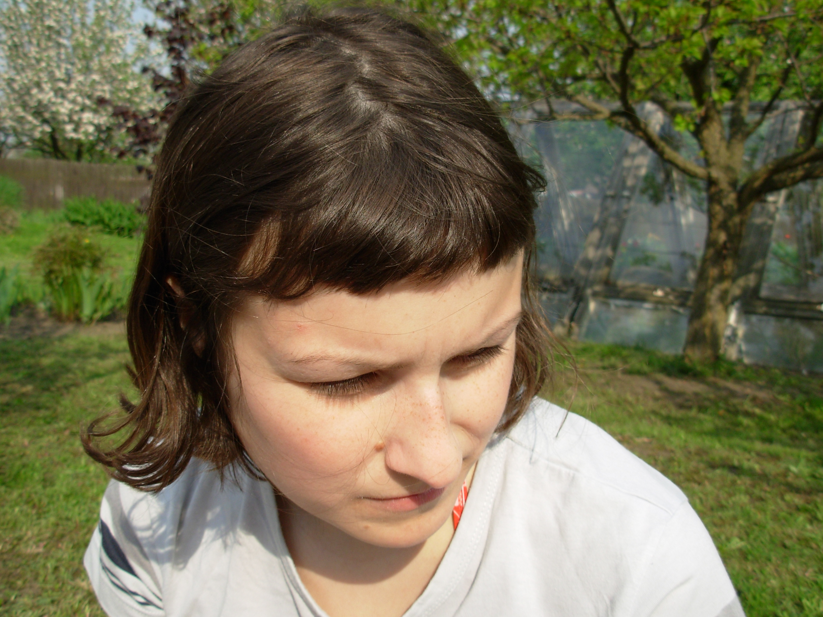 DSCN1042.JPG