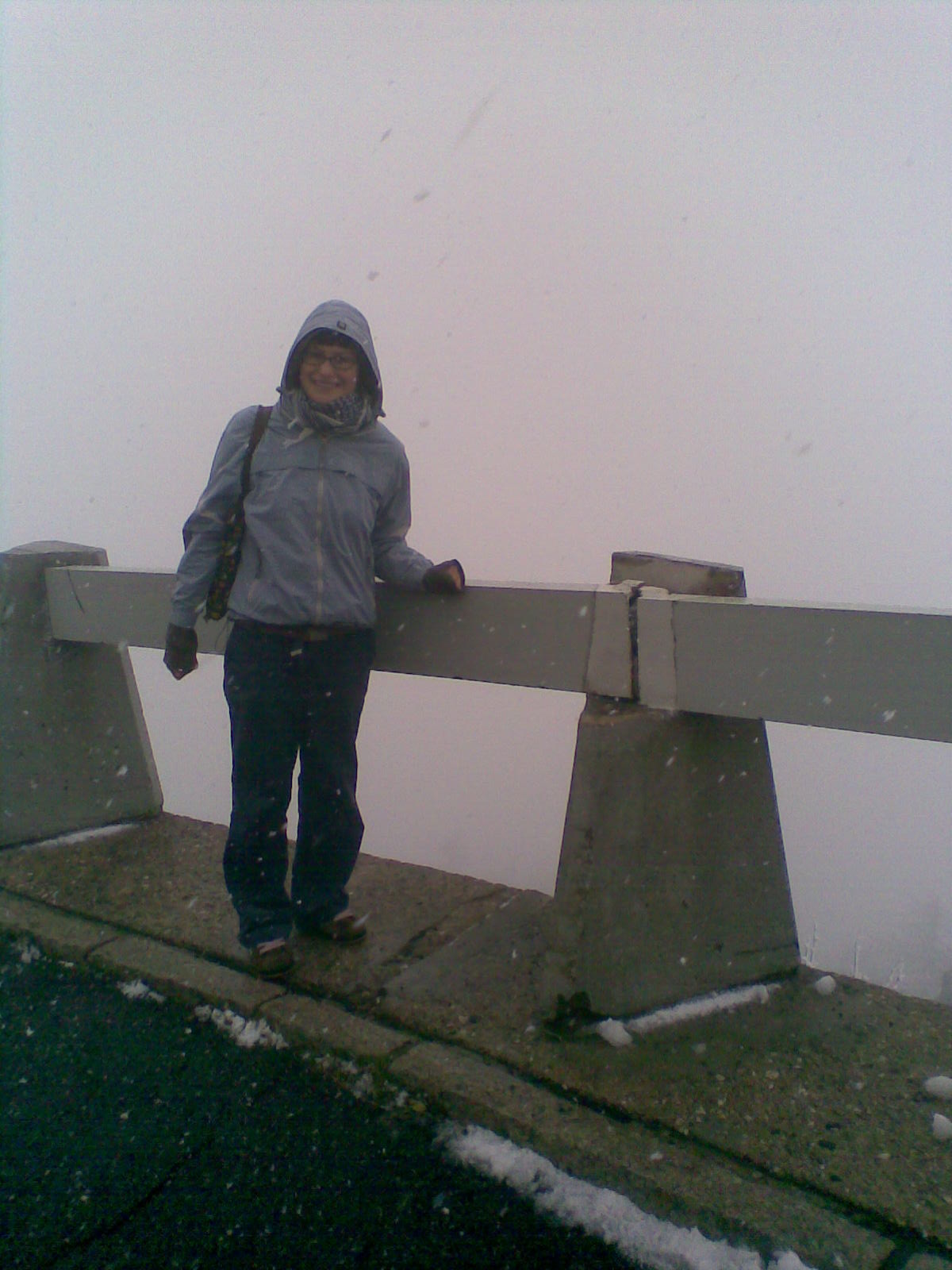 Obraz013.jpg